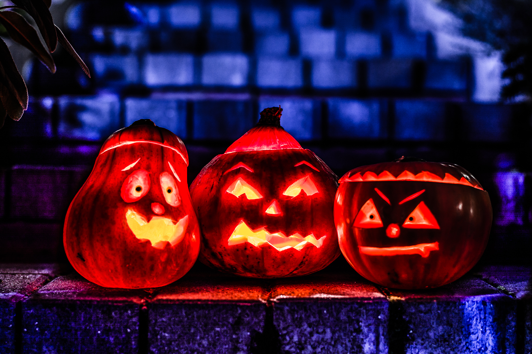 744706 halloween 2 radka pixelio